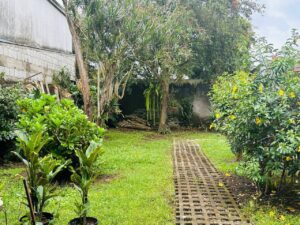 484974275 122223686888194880 3524936320906992801 n