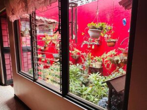 485063179 122223686846194880 5865179875614747289 n