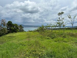 whatsapp image 2026 01 31 at 1.37.15 am