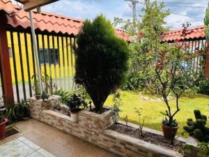 whatsapp image 2026 01 31 at 1.51.47 am