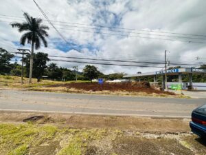 whatsapp image 2026 01 31 at 2.00.00 am