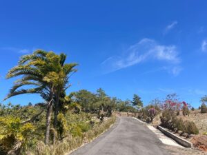 whatsapp image 2026 02 08 at 9.49.56 am