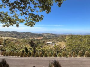 whatsapp image 2026 02 08 at 9.49.57 am (1)