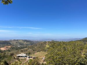 whatsapp image 2026 02 08 at 9.49.57 am (2)