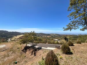 whatsapp image 2026 02 08 at 9.49.57 am (3)