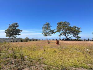 whatsapp image 2026 02 08 at 9.49.57 am