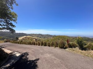 whatsapp image 2026 02 08 at 9.49.58 am (1)