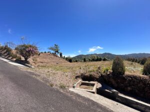 whatsapp image 2026 02 08 at 9.49.58 am (3)