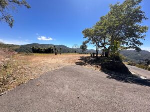 whatsapp image 2026 02 08 at 9.49.58 am