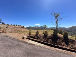 whatsapp image 2026 02 08 at 9.49.58 am (4)